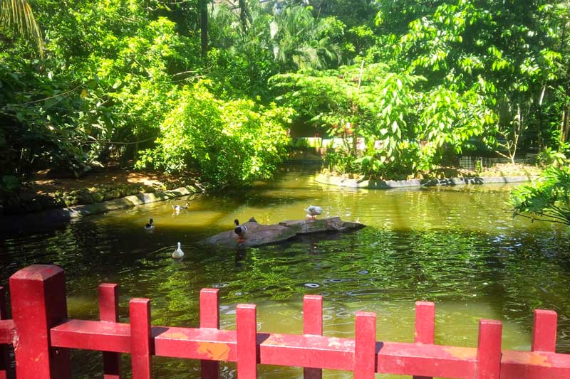 cong vien dong vat hoang da